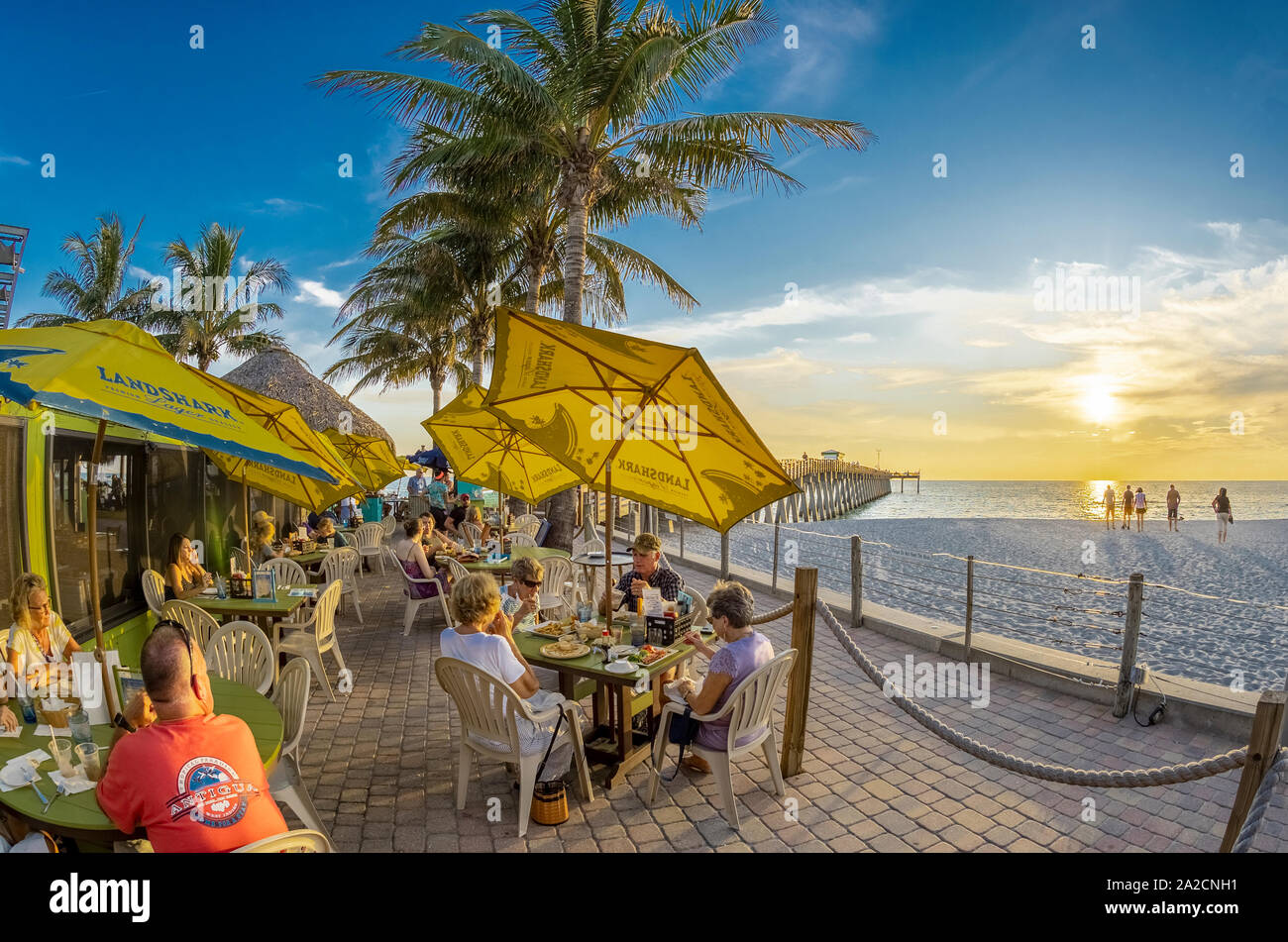 Sharkys hires stock photography and images Alamy