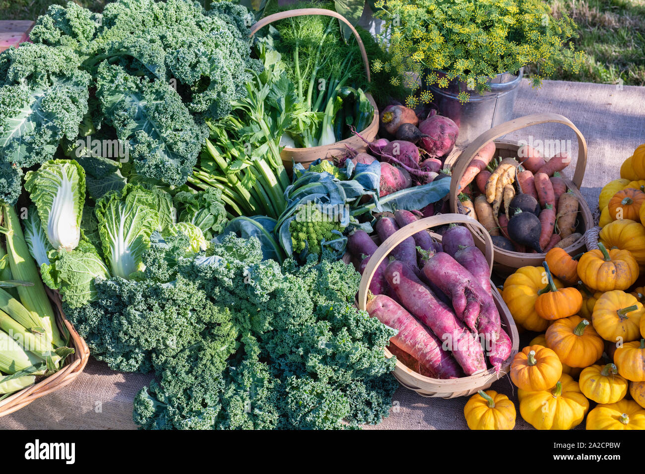 Organic autumn produce on a table on display at Daylesford autumn show