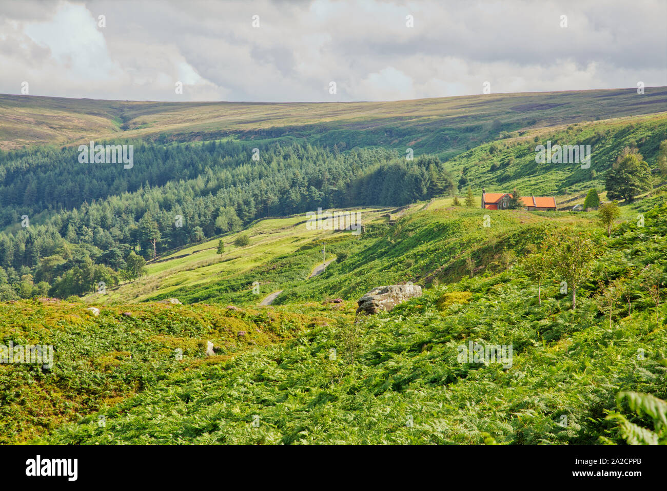 Walking north yorkshire moors uk trees hires stock photography and