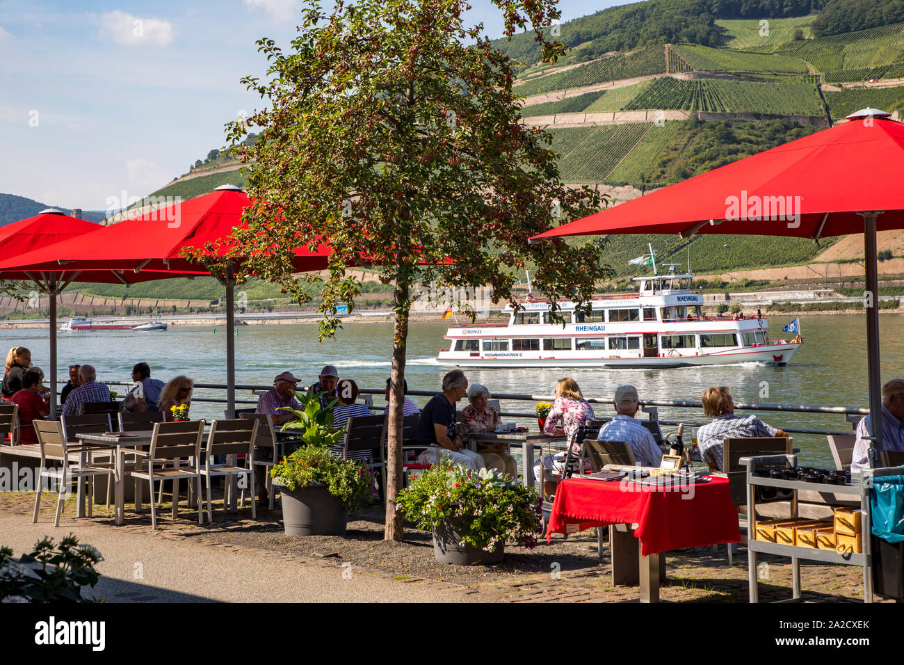 Park on the Rhine near Bingen, riverbank promenade Restaurant Terrace, Germany Stock Photo