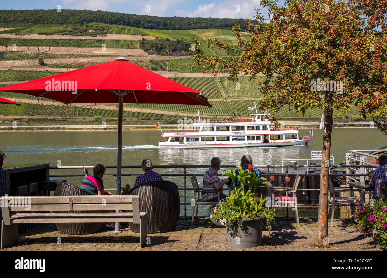 Park on the Rhine near Bingen, riverbank promenade Restaurant Terrace, Germany Stock Photo