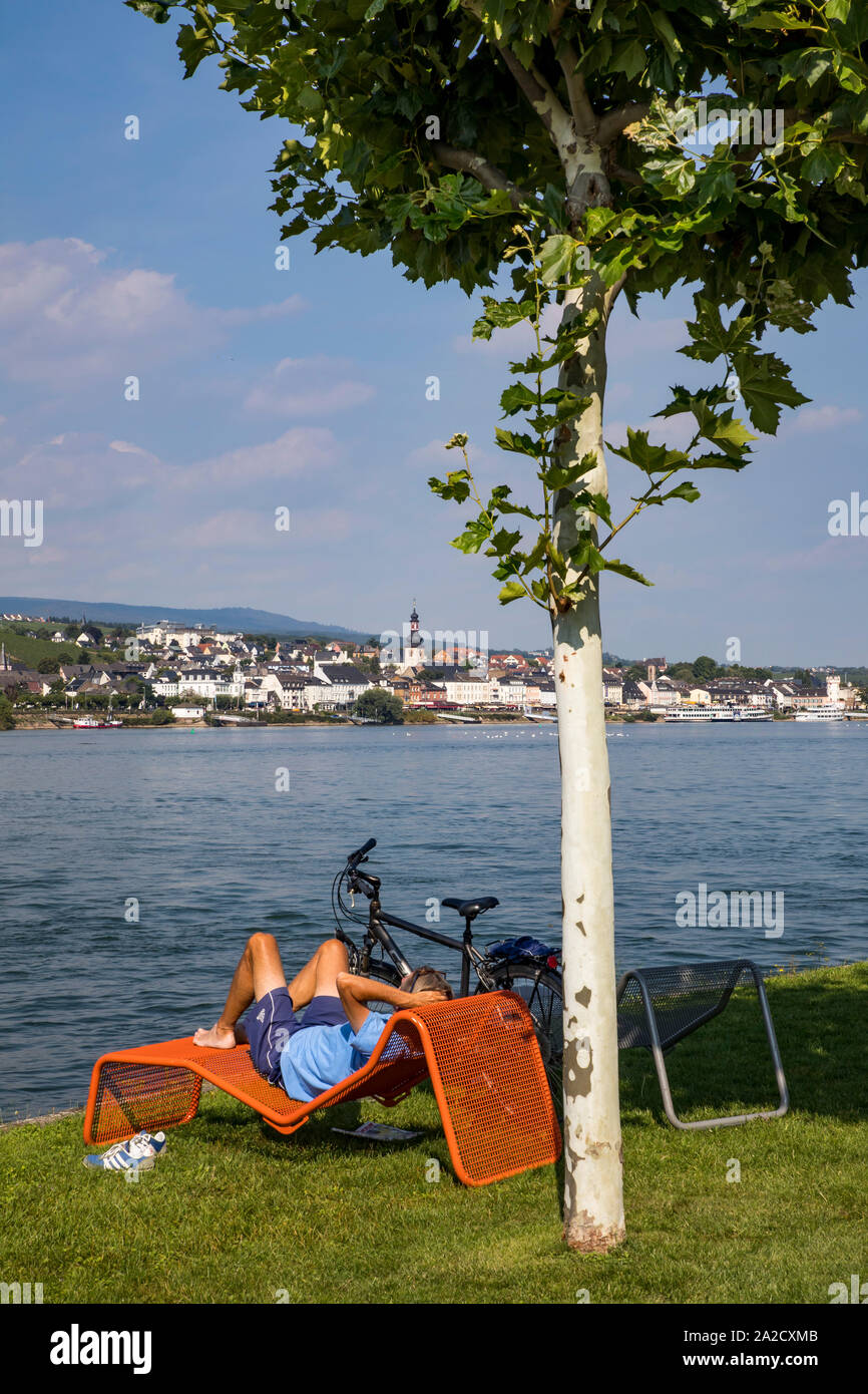 Park at the Rhine near Bingen, panoramic view to Rüdesheim, Germany Stock Photo