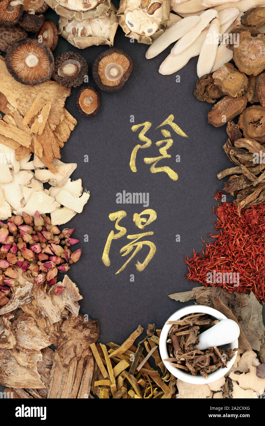 Yin and yang Chinese herbs used in traditional herbal medicine with