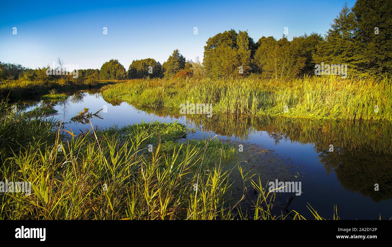 View of the Czarny Dunajec river and distant mountains. Stock Photo