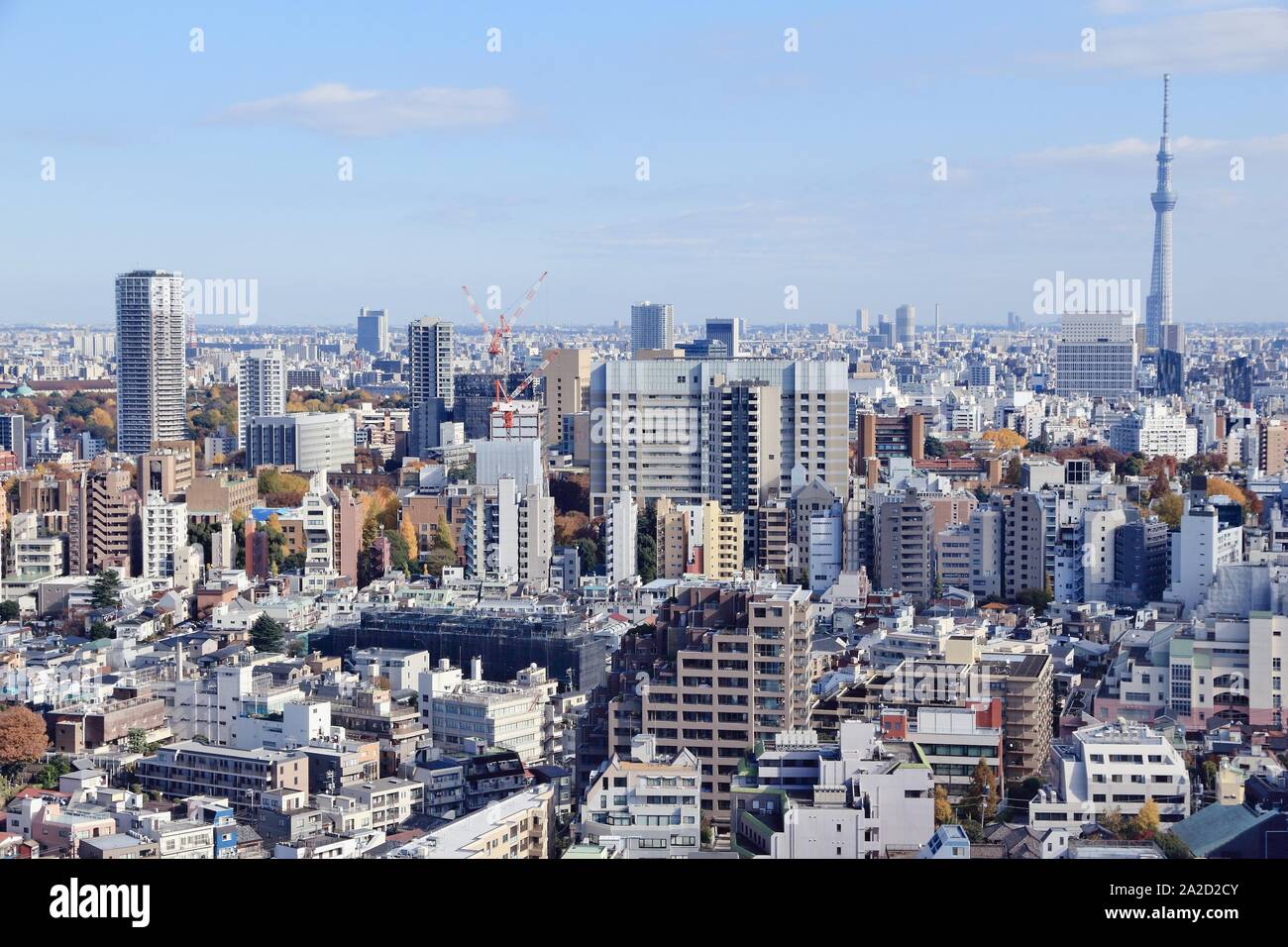 Bunkyo Ward, Tokyo modern city aerial view Stock Photo Alamy