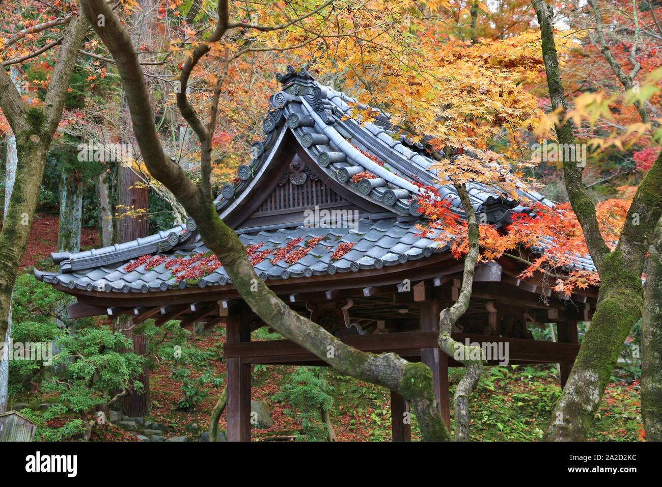 Kyoto, Japan - autumn foliage at Eikando Zenrinji temple. Stock Photo