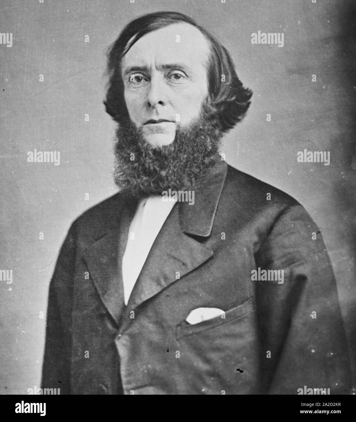 Edwards Pierrepont, Brady-Handy bw photo portrait, ca1865-1880. Stock Photo