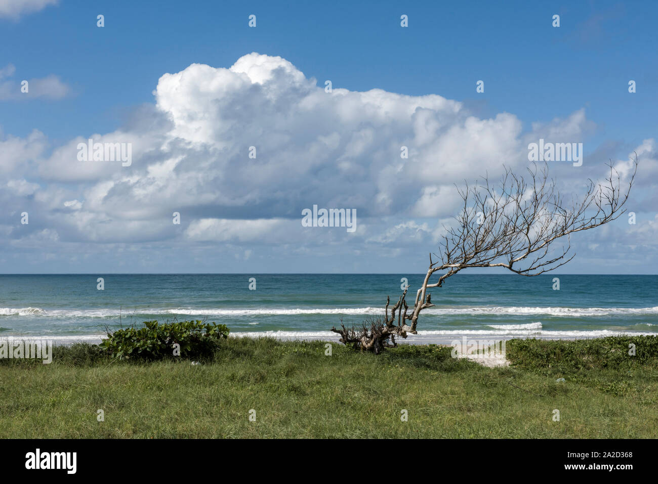 Sobral beach in Maceio City, Alagoas, Brazil Stock Photo