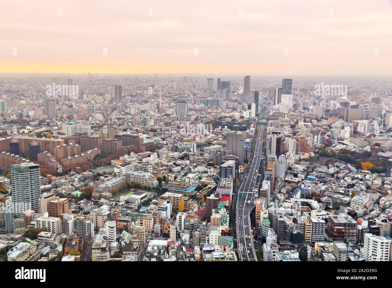 Tokyo, Japan - Jan 4, 2016. Cityscape Of Tokyo, Japan. With A Population Of  13.65 Million People, Tokyo, The Capital Of Japan, Is A World-leading  Megalopolis. Stock Photo, Picture and Royalty Free Image. Image 82046790.