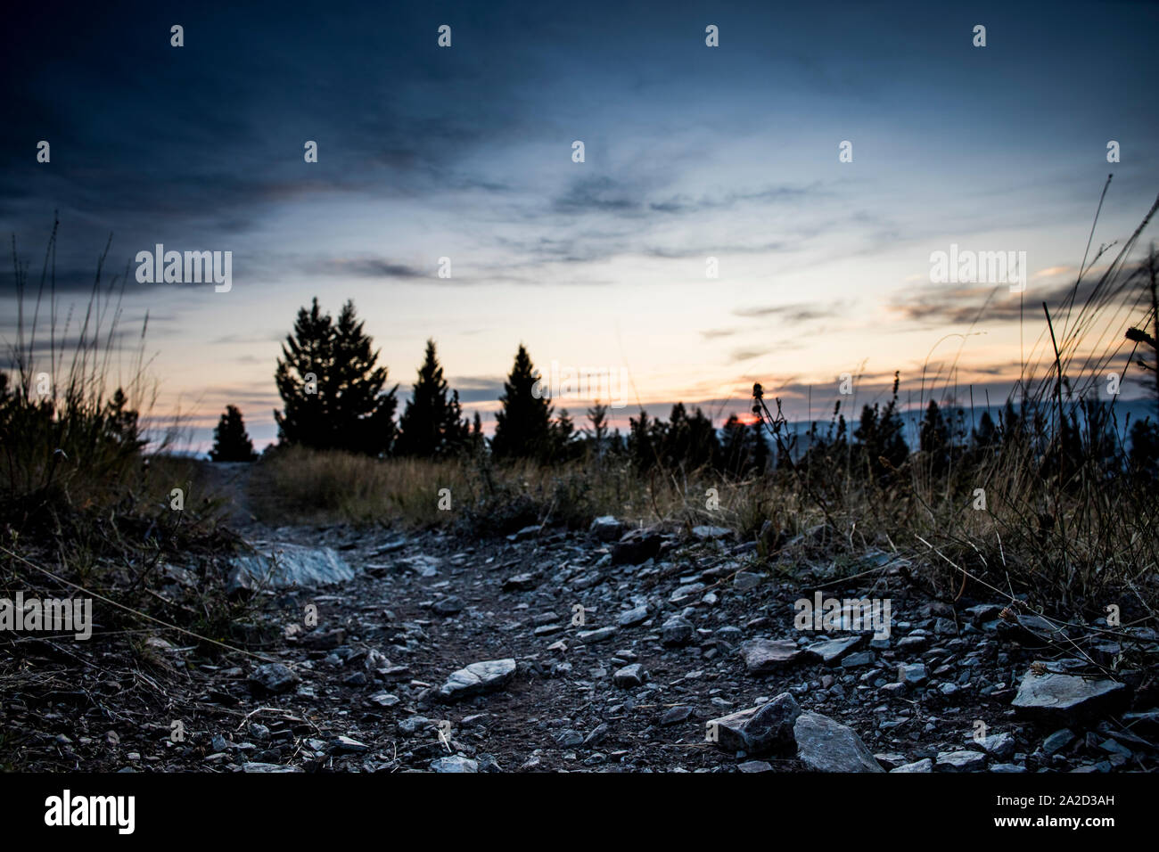 A detailed view of an empty trail at sunset near Missoula, Montana. Stock Photo