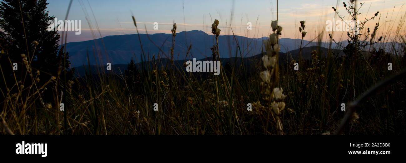 Panorama of Lolo Peak through the grass from the top of Blue Mountain Stock Photo