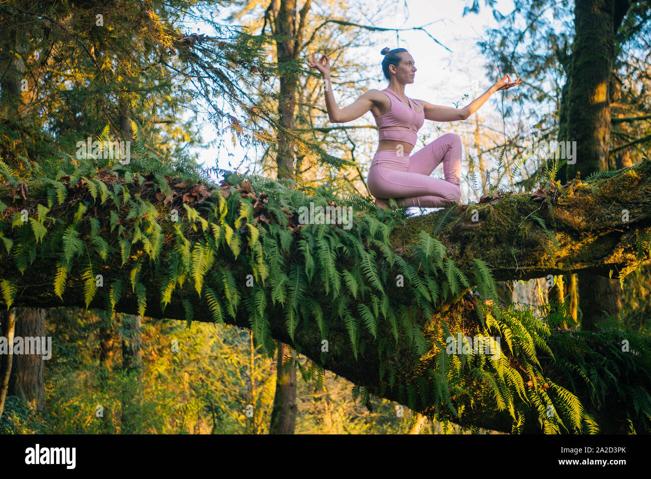 View of young woman in yoga pose in forest, Bainbridge Island, Washington, USA Stock Photo