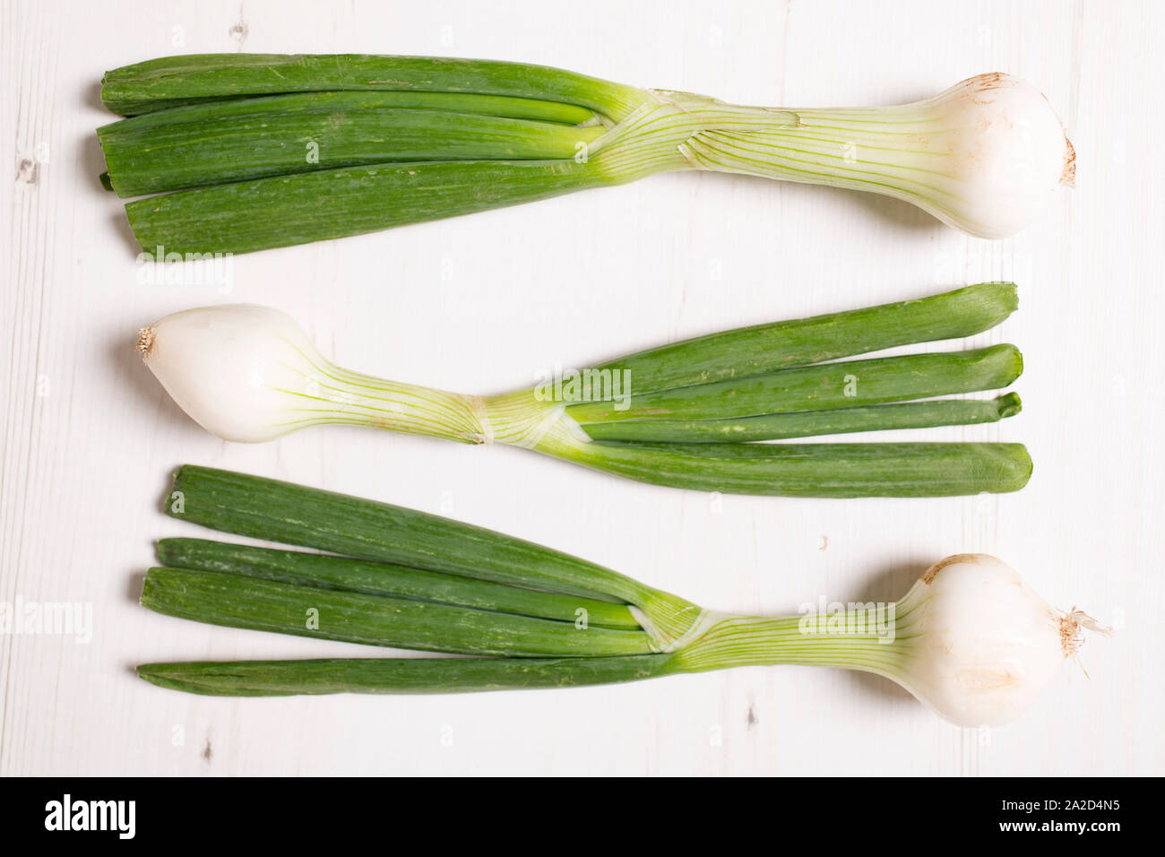 Large spring onion bulbs on a light wooden surface Stock Photo