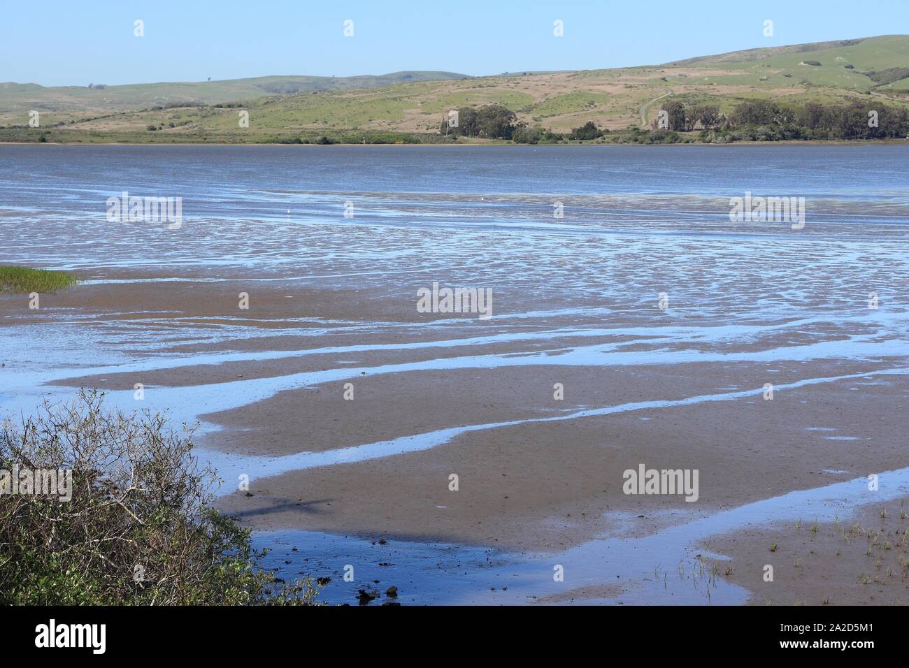 California Tomales Bay Ecological Reserve with salt marsh and tidal