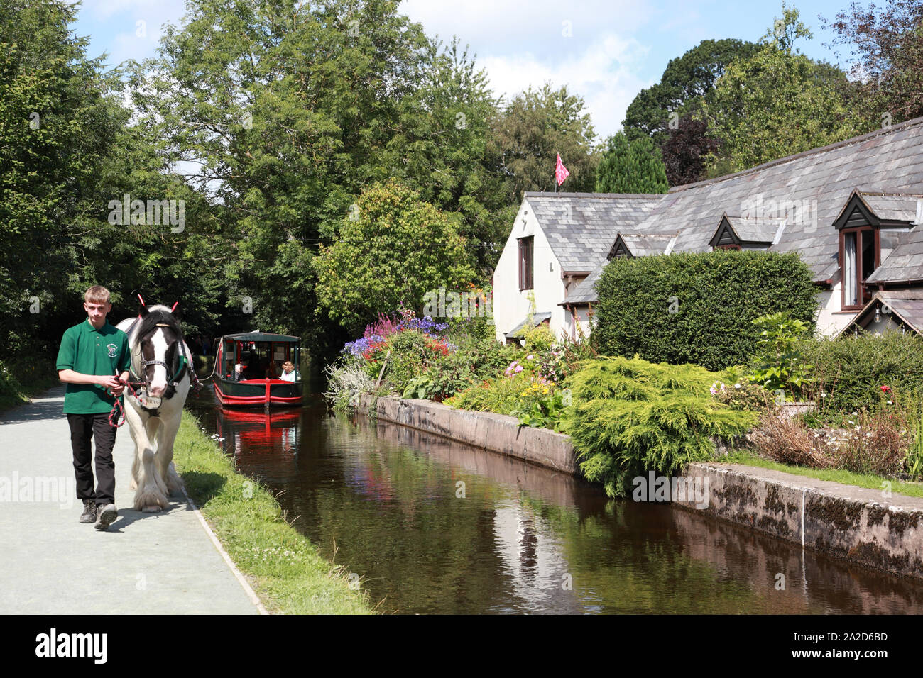 A horse drawing a boat from Llantisylio down the Dee valley towards Llangollen Wharf Stock Photo