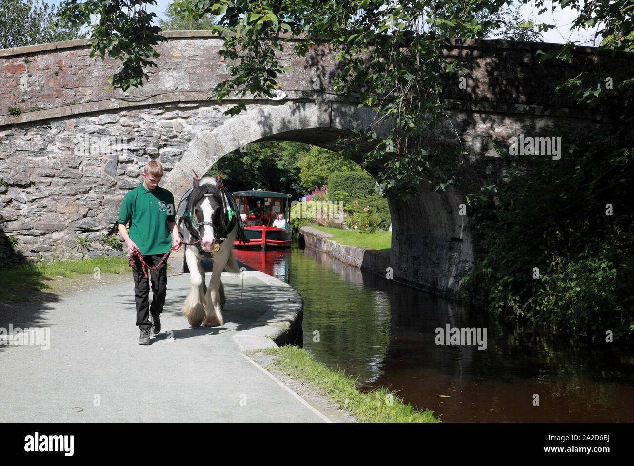 A horse drawing a boat from Llantisylio down the Dee valley towards Llangollen Wharf Stock Photo