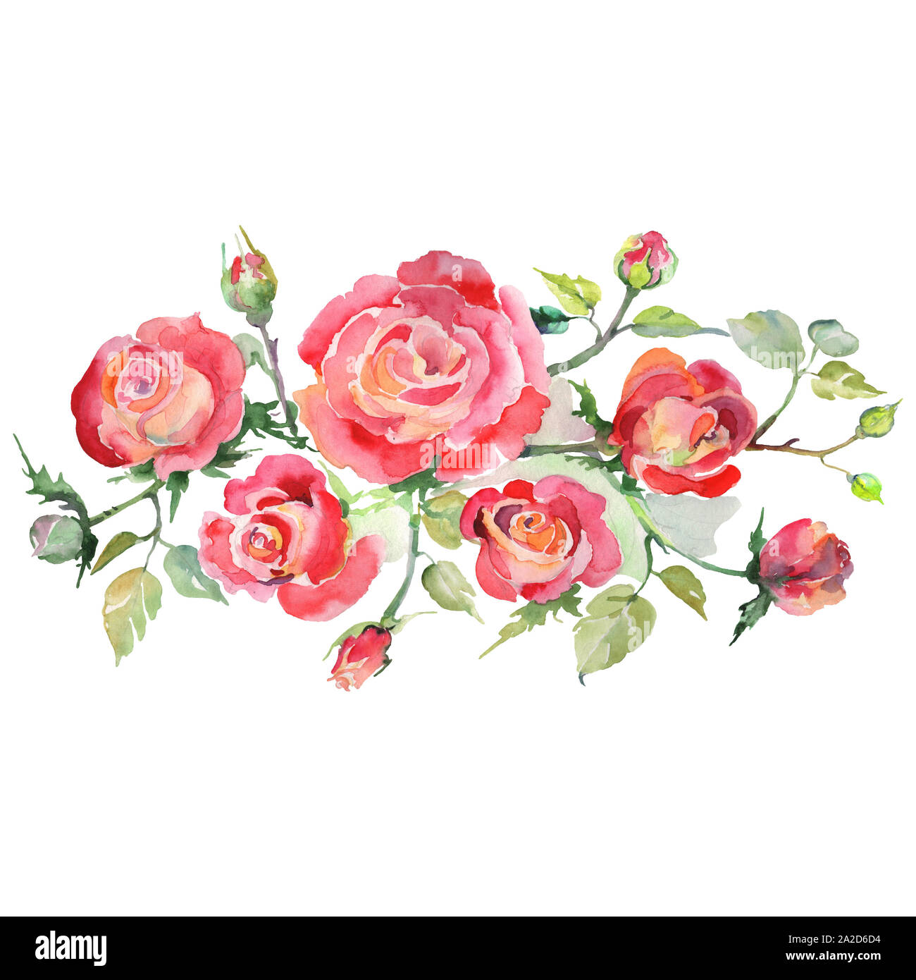 Red rose bouquet floral botanical flowers. Watercolor background set.  Isolated bouquets illustration element Stock Photo - Alamy