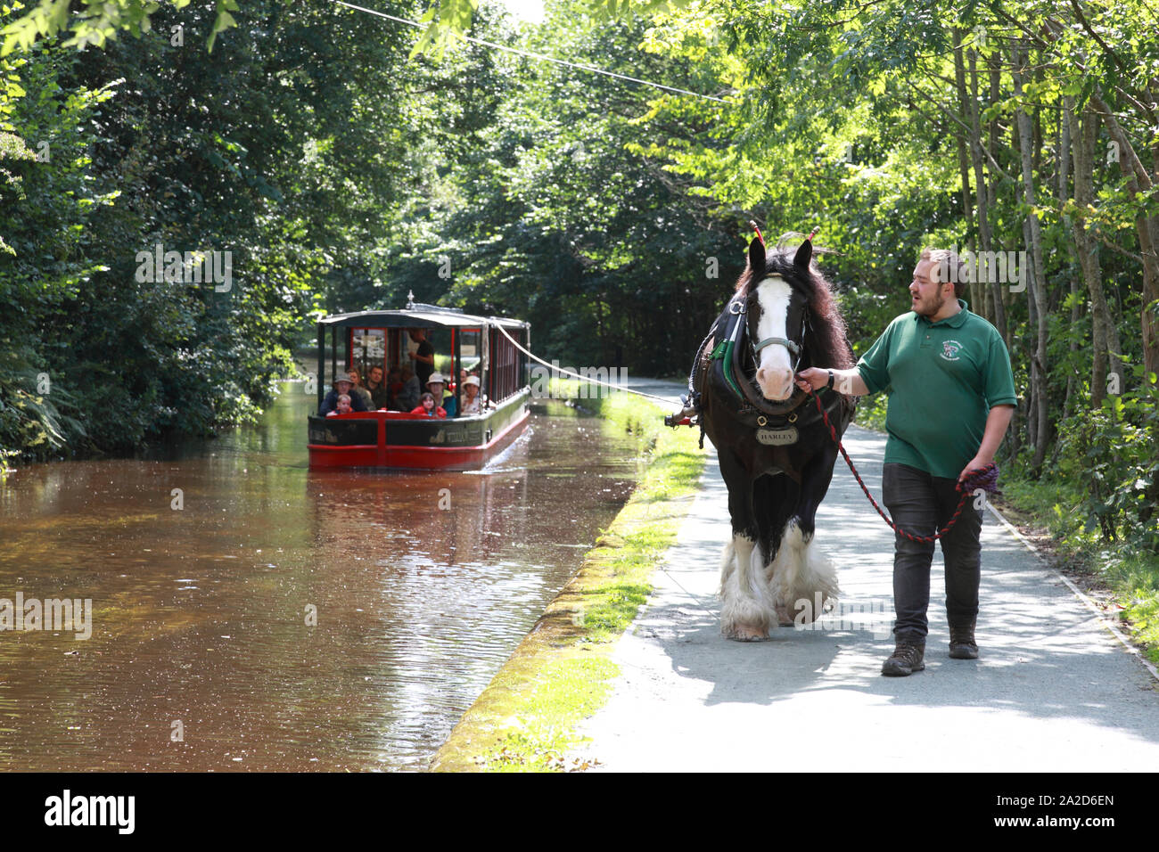A horse drawing a boat from Llangollen Wharf up the Dee valley towards Llantysilio Stock Photo