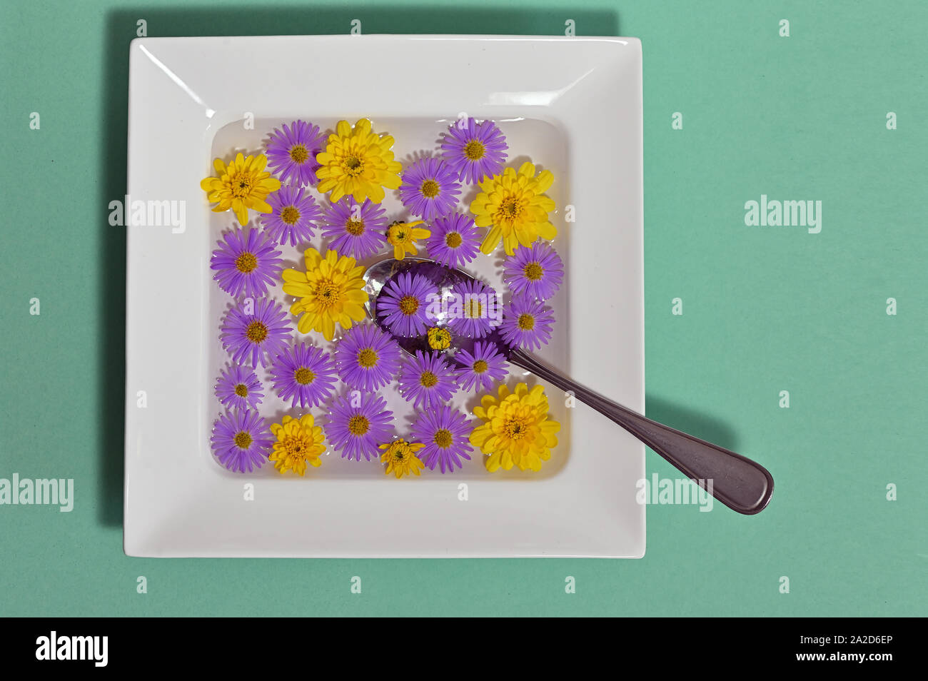 Abstract Plate dish with autumn flowers Stock Photo