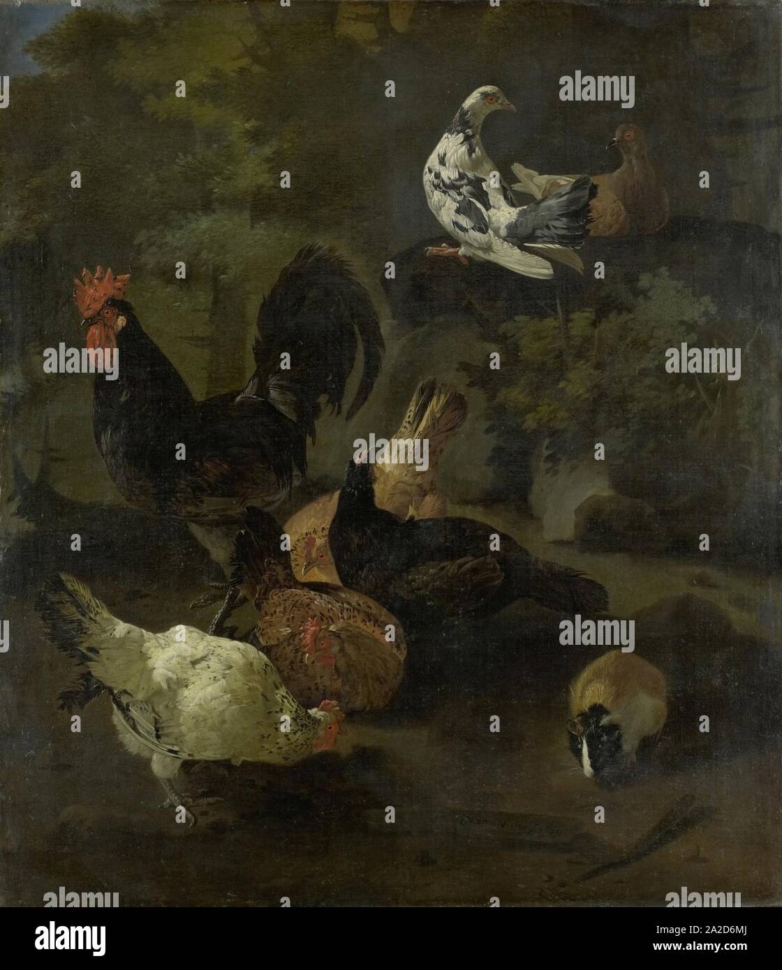 Een haan met kippen, duiven en een marmot Stock Photo