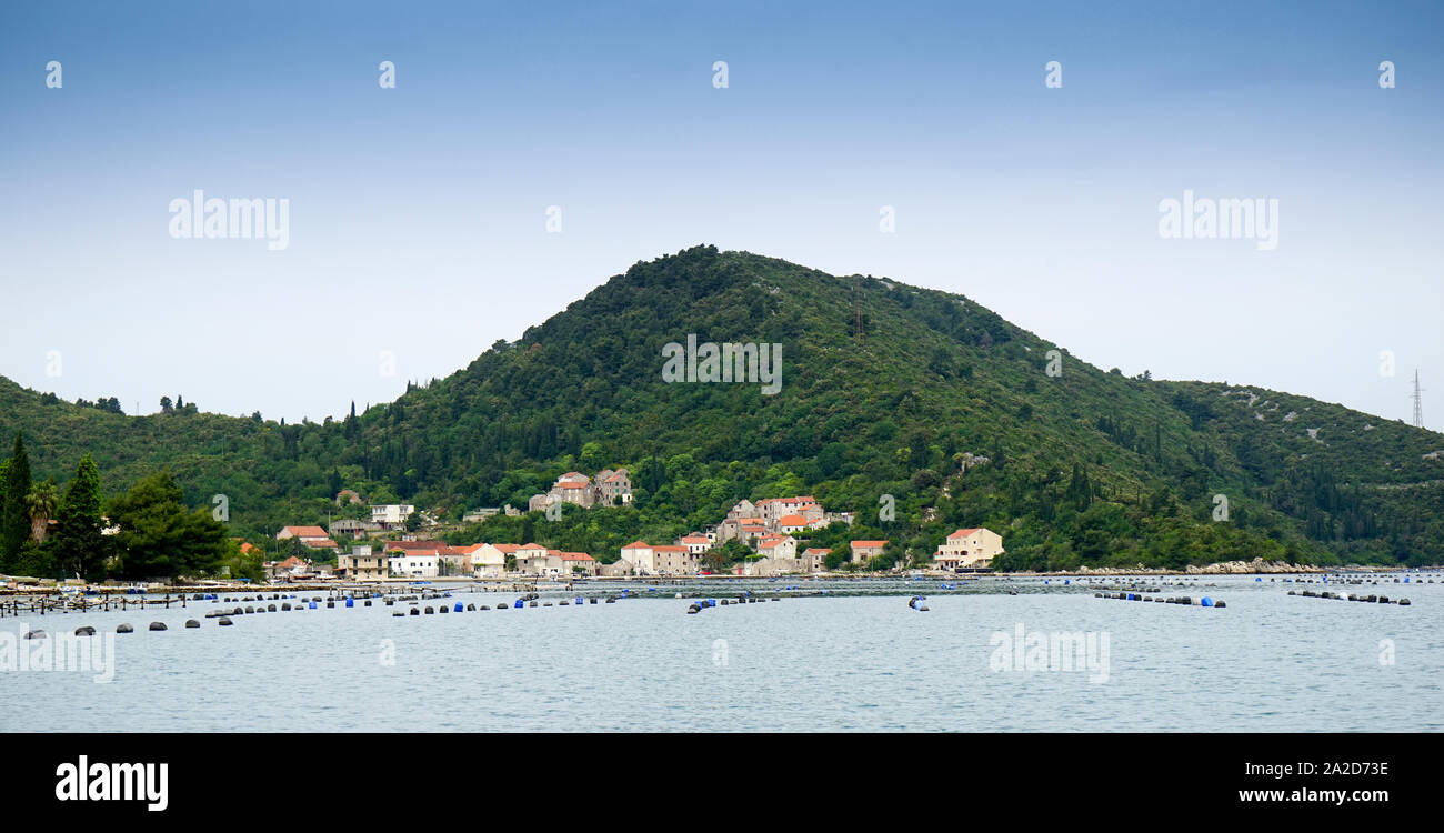 Oyster Farm, Croatia Stock Photo Alamy