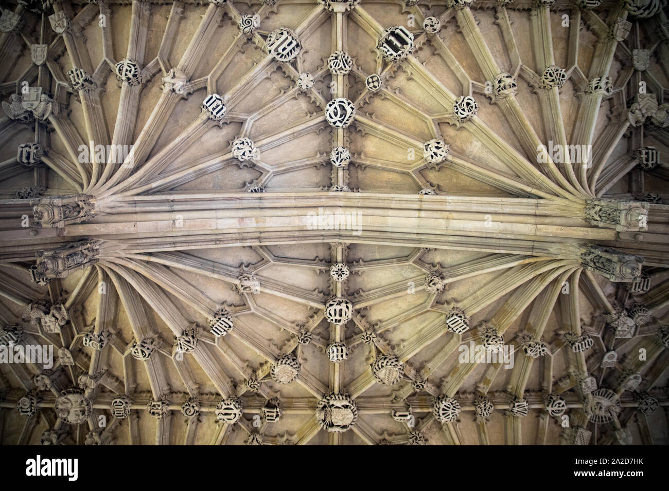 Ceiling of bodleian library hi-res stock photography and images - Alamy