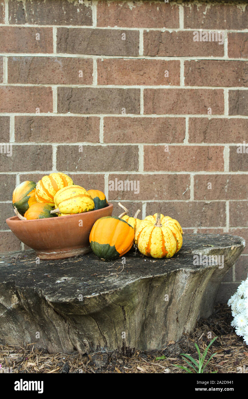 Fall Gourd Arrangement In Bowl In Front Of Brick Wall Stock Photo
