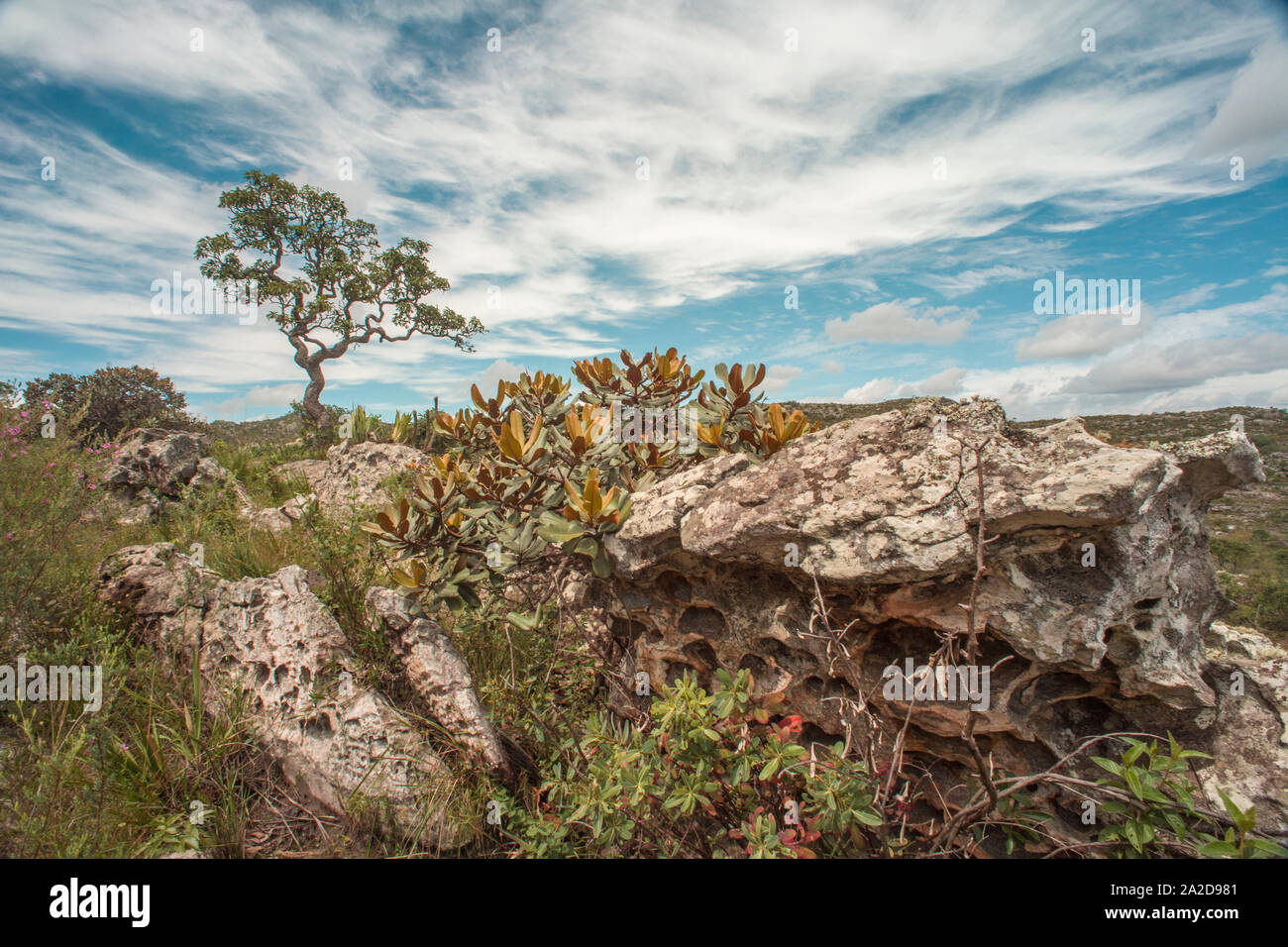 Picturesque rocky landscape of Cerrado region in central Minas Gerais Stock Photo