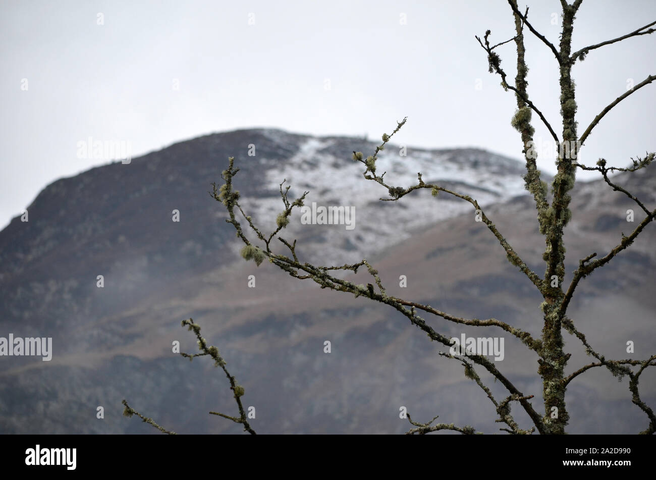 Winter hills around Aberfoyle in the Queen Elizabeth Forest Park, Stirling Stock Photo