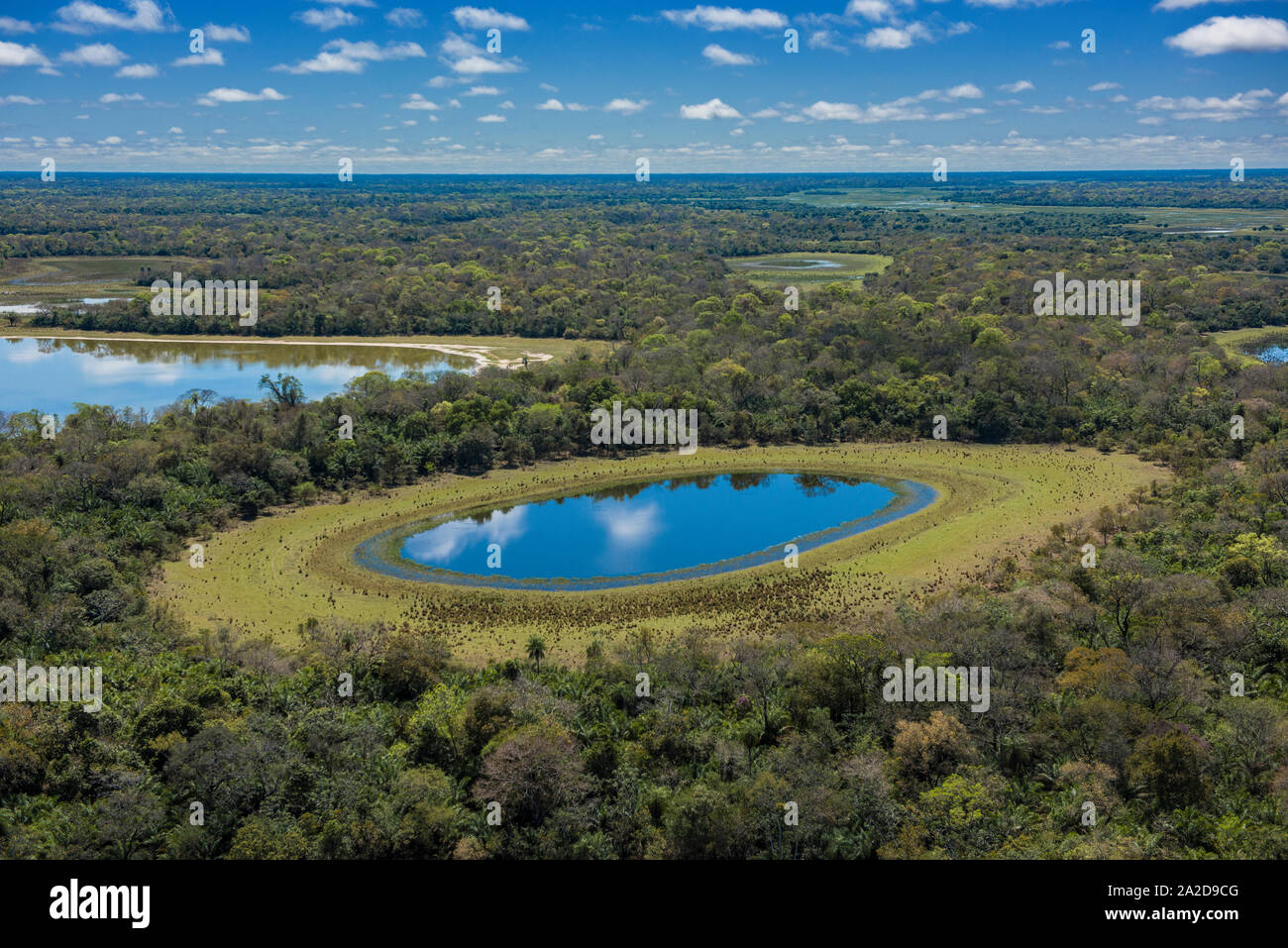 Aerial View of blue lakes in Brazilian Pantanal wetlands Stock Photo