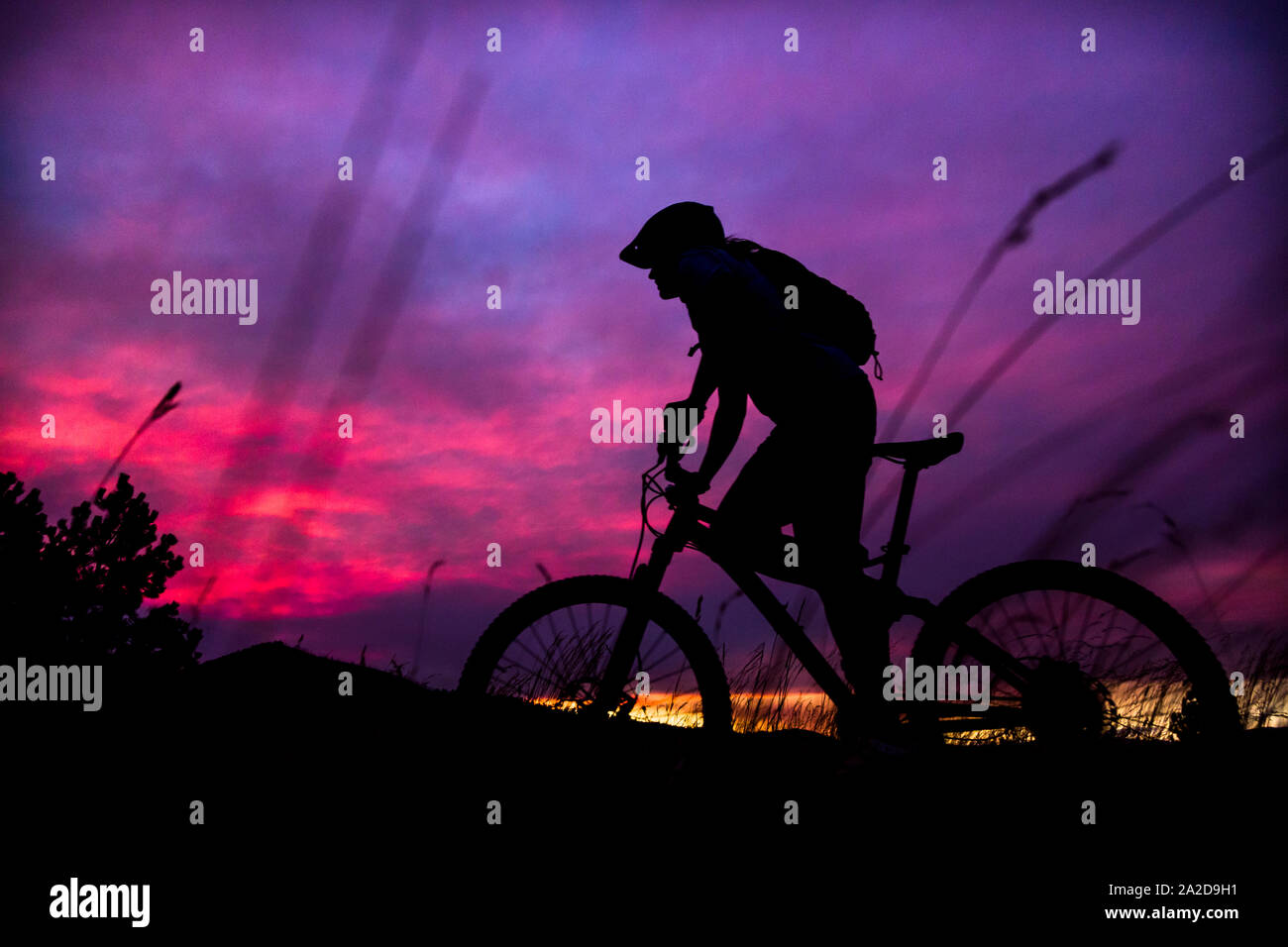 A woman mountain biker rides during sunset near Missoula, Montana Stock Photo