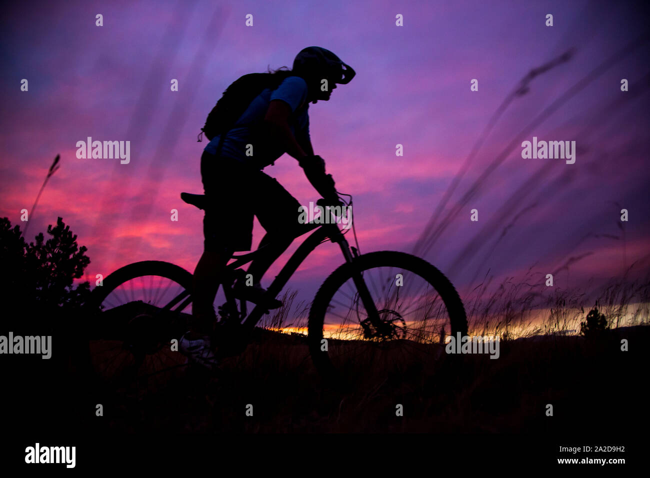 A female mountain biker rides at sunset near Missoula, Montana Stock Photo