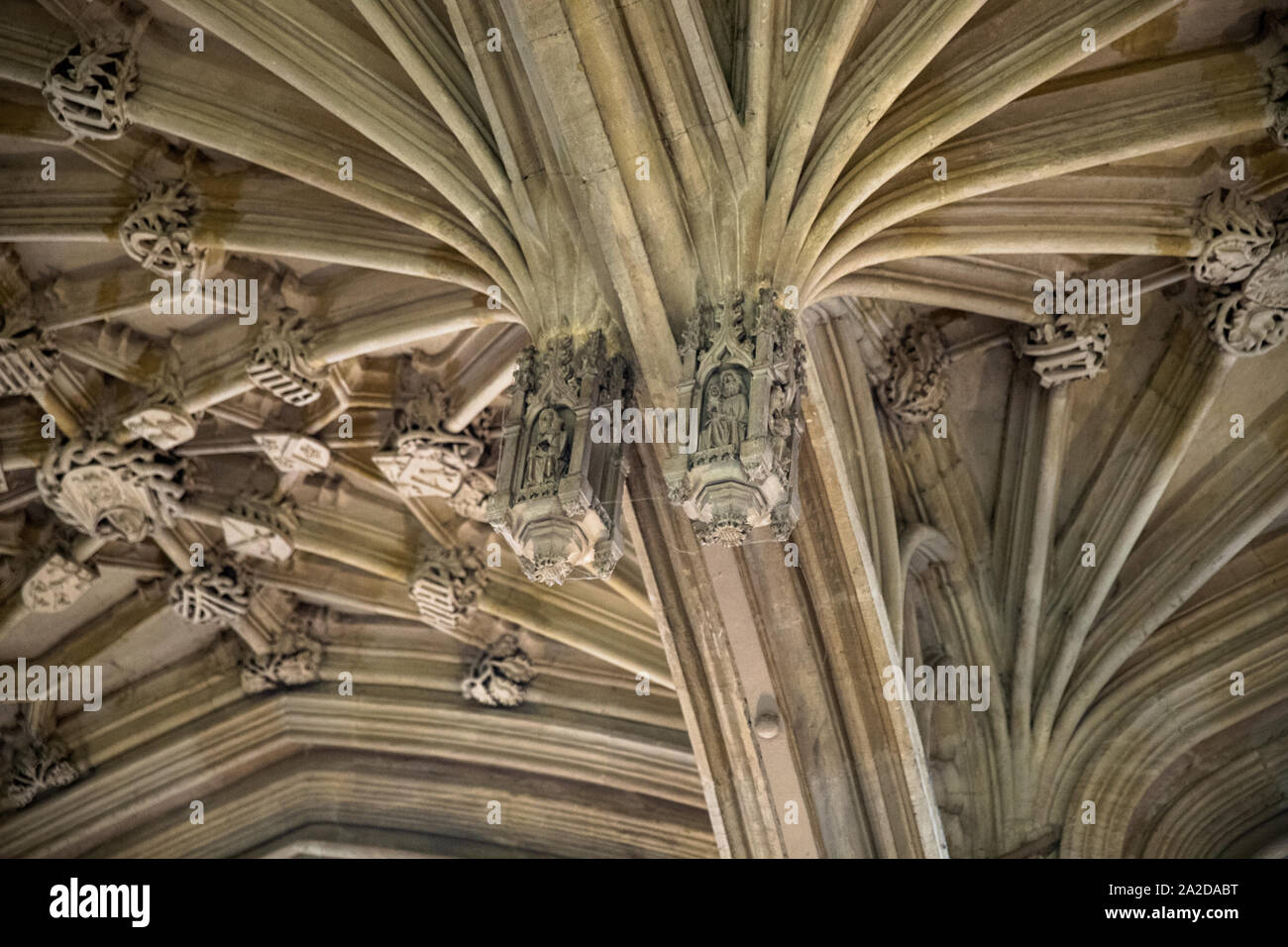 Ceiling of bodleian library hi-res stock photography and images - Alamy