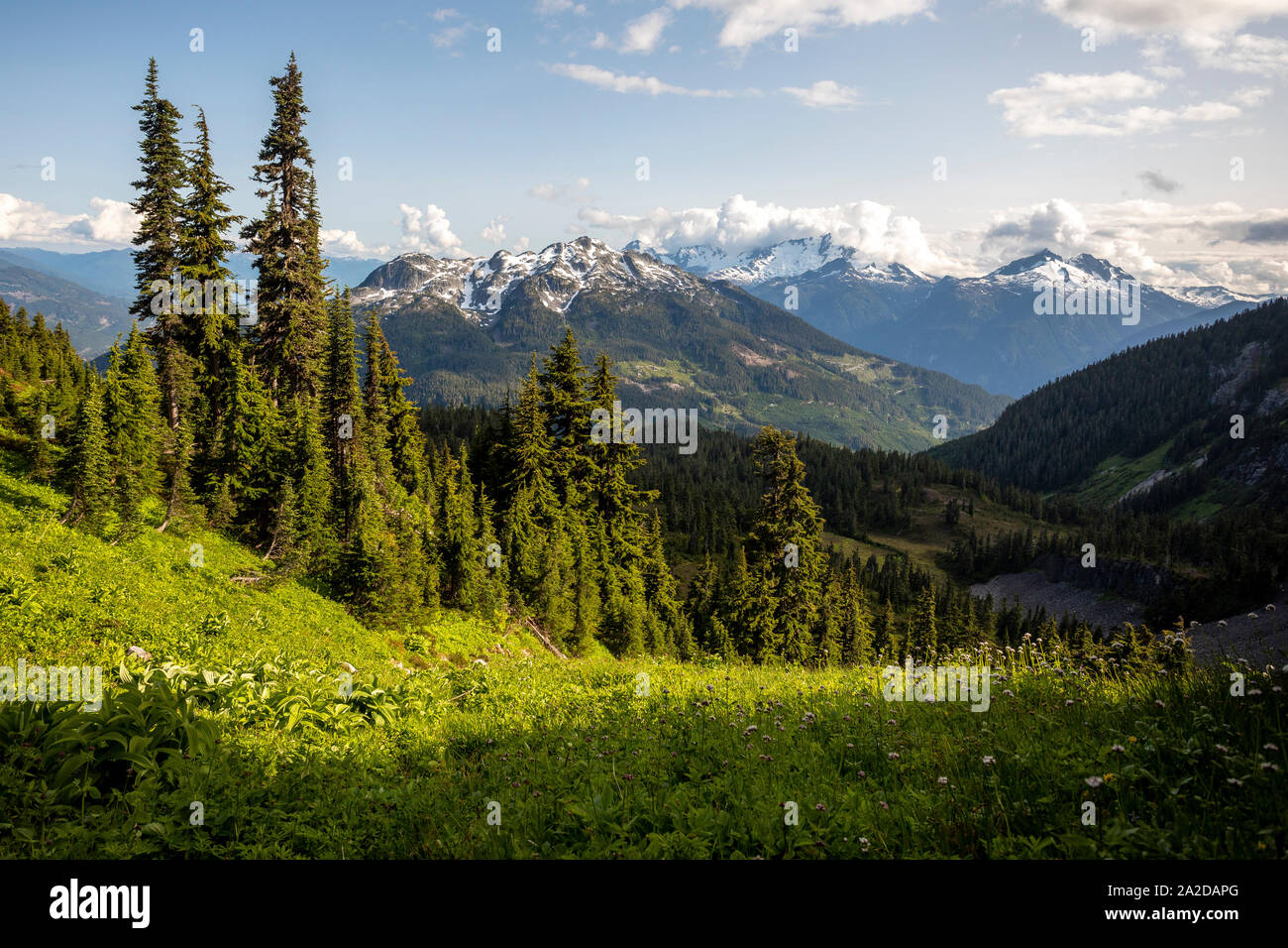 Scenic summer view of the coast mountains of British Columbia. Stock Photo
