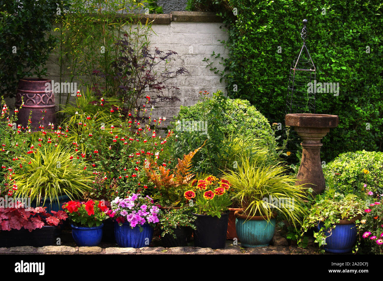 English garden flower display with stone bird bath Stock Photo