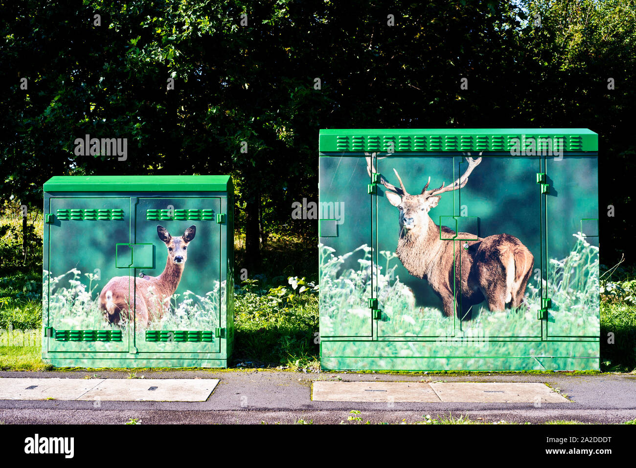 Painted electrical boxes hires stock photography and images Alamy