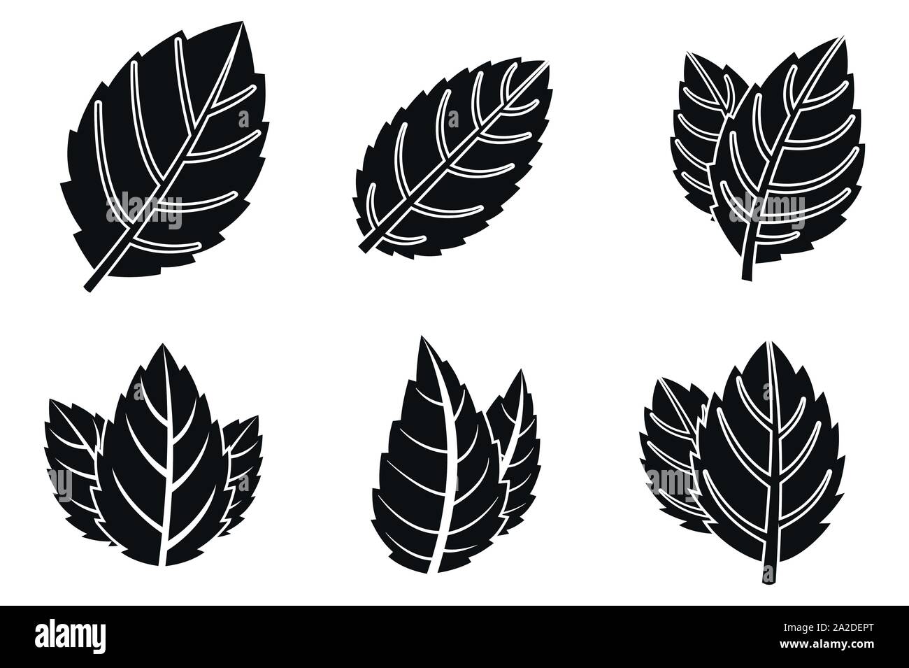 Mint Leaves Vector Png