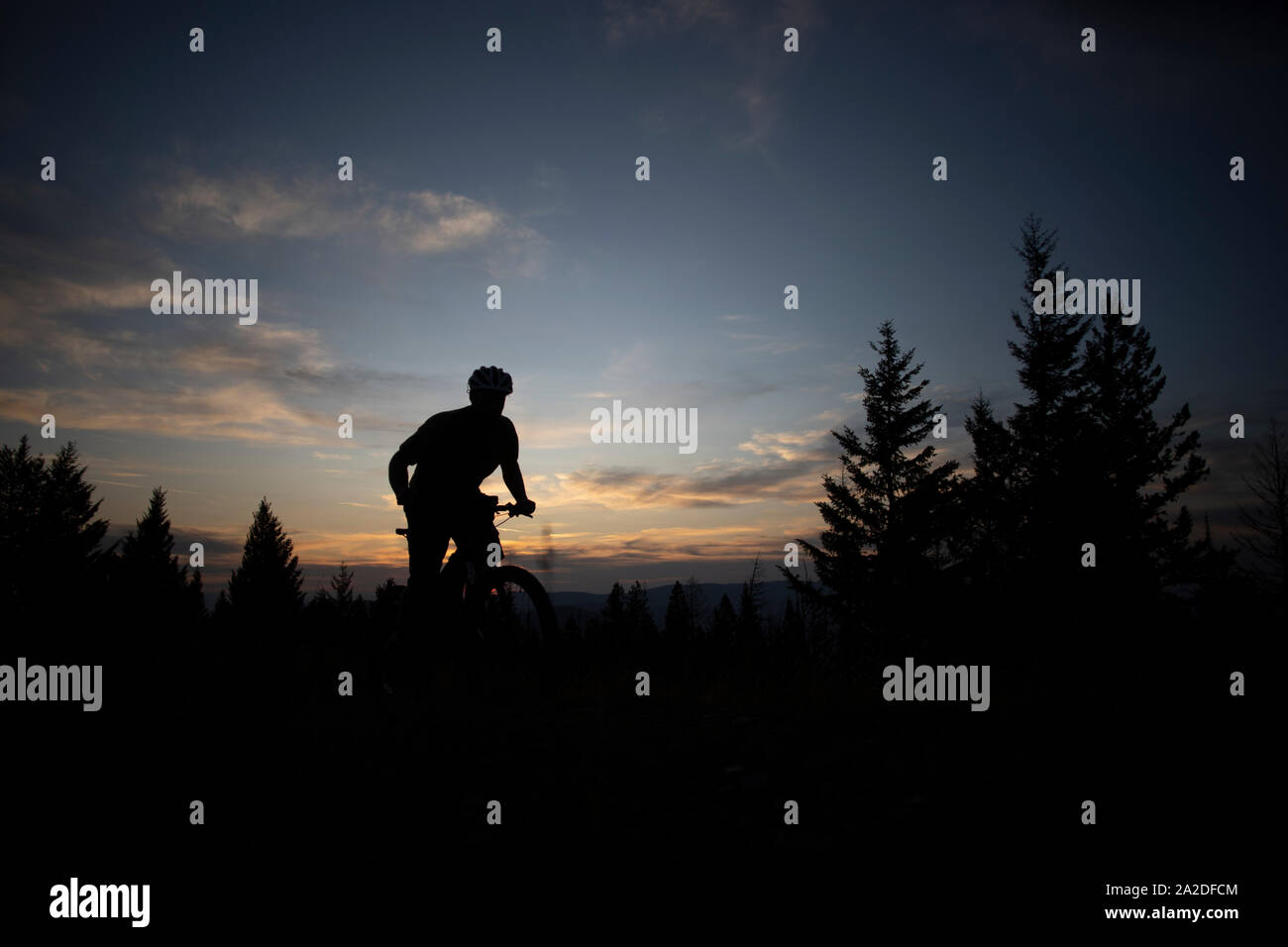 A mountain biker silhouetted at sunset on the top of Blue Mountain. Stock Photo