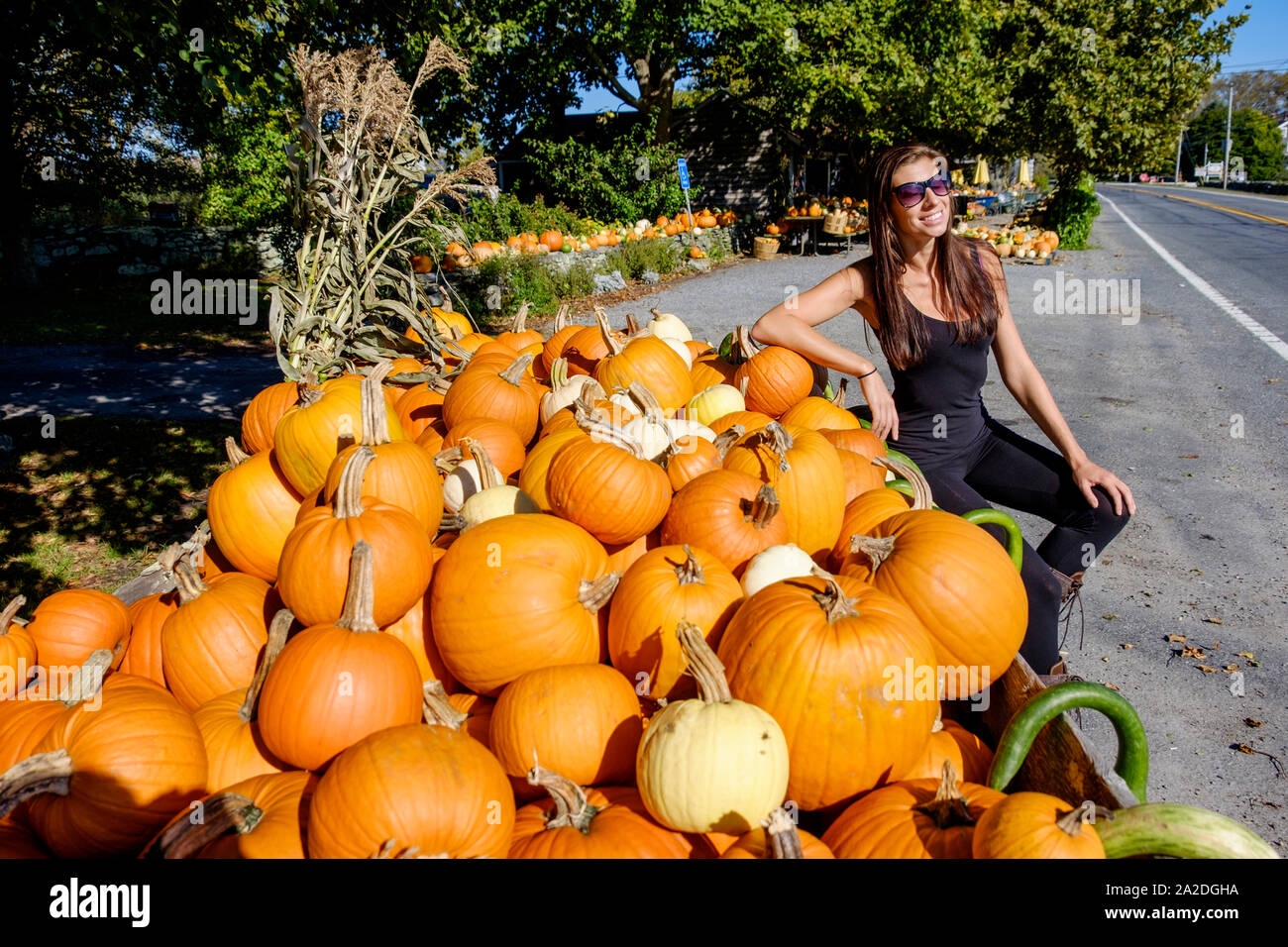 Pumpkins and other produce displayed at Walkers Roadside Stand at 261 W Main Rd 02837 Little Compton, Rhode Island, USA Stock Photo