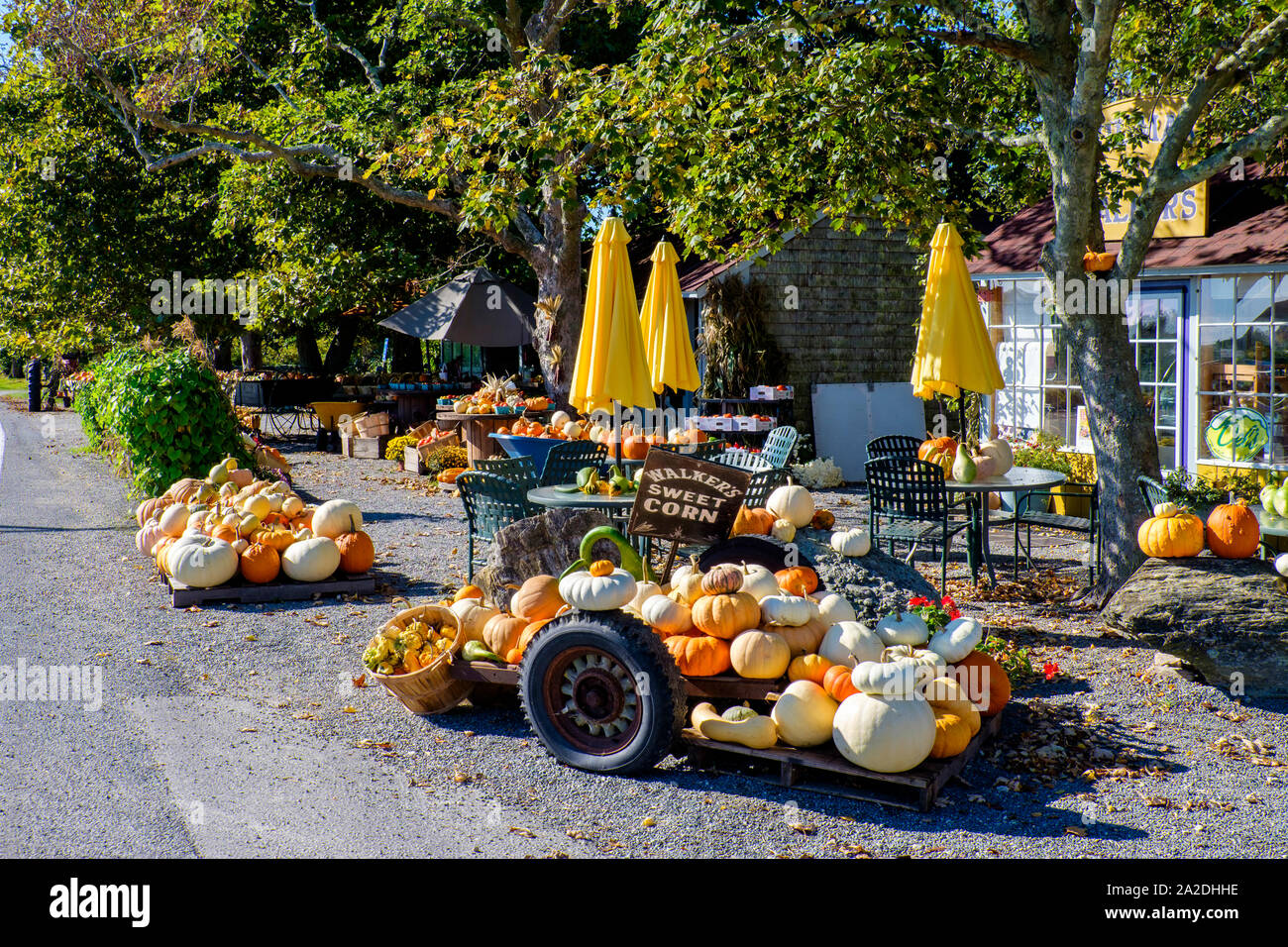 Pumpkins and other produce displayed at Walkers Roadside Stand at 261 W