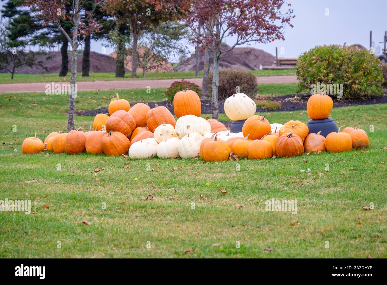 Pumpkin & produce displays at Summerside, Prince Edward Island, Canada Stock Photo