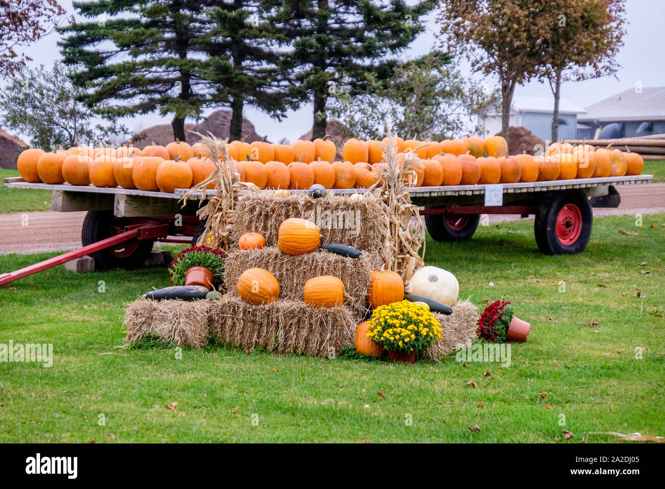 Pumpkin & produce displays at Summerside, Prince Edward Island, Canada Stock Photo