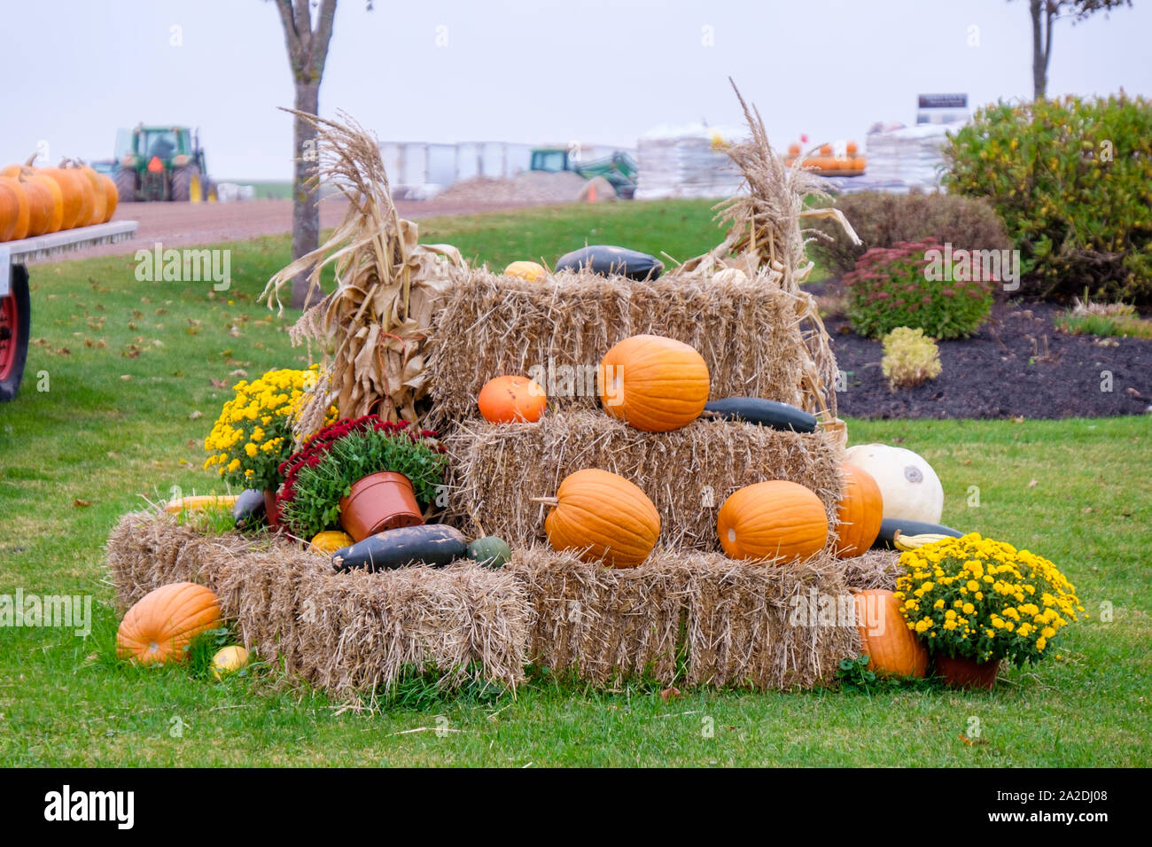 Pumpkin & produce displays at Summerside, Prince Edward Island, Canada Stock Photo