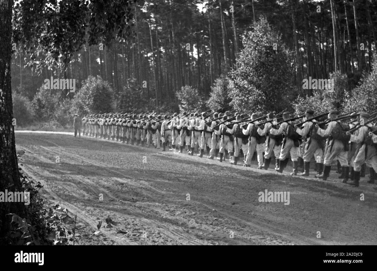 Eine Staffel mit Rekruten der Flieger Ausbildungsstelle Schönwalde marschiert, Deutschland 1930er Jahre. A squadron of recruits marching through a forest, Germany 1930s. Stock Photo