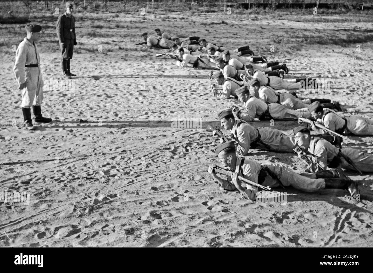 Kriechen High Resolution Stock Photography And Images Alamy