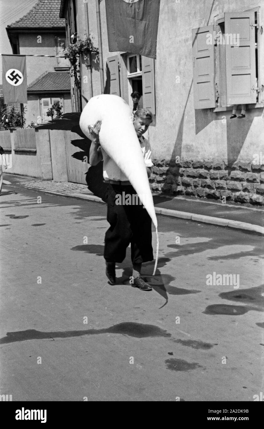 Jugendlicher trägt einen Rettich aus Pappe beim Festzug zum Rettichfest in Schifferstadt, Deutschland, 1930er Jahre. Youth carrying a pasteboard radish at the pageant of the annual radish fair at Schifferstadt, Germany 1930s. Stock Photo