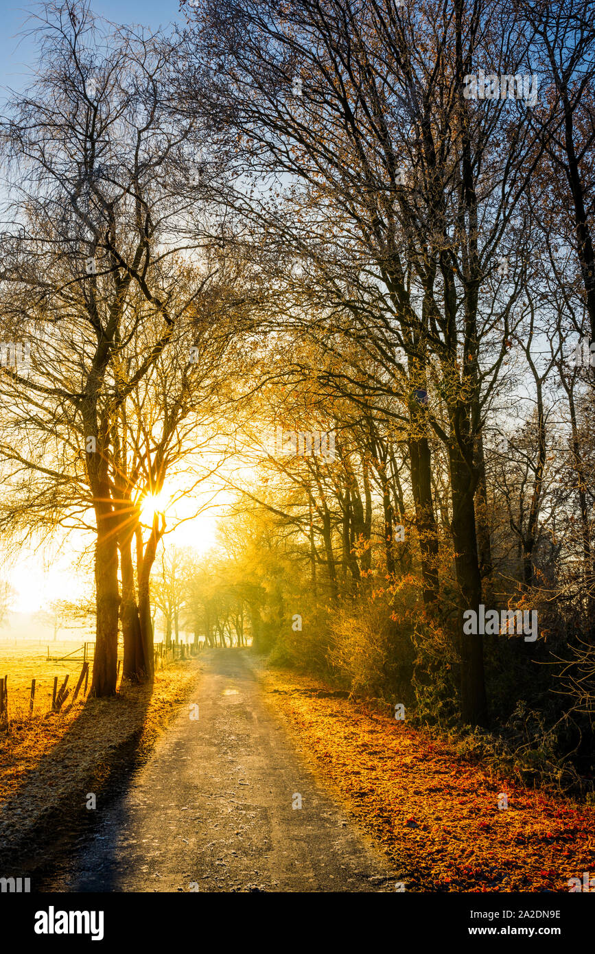 Autumn scene with rural road in the light of the rising sun Stock Photo