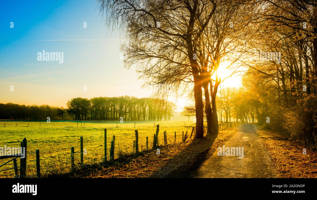 Autumn scene with rural road in the light of the rising sun Stock Photo