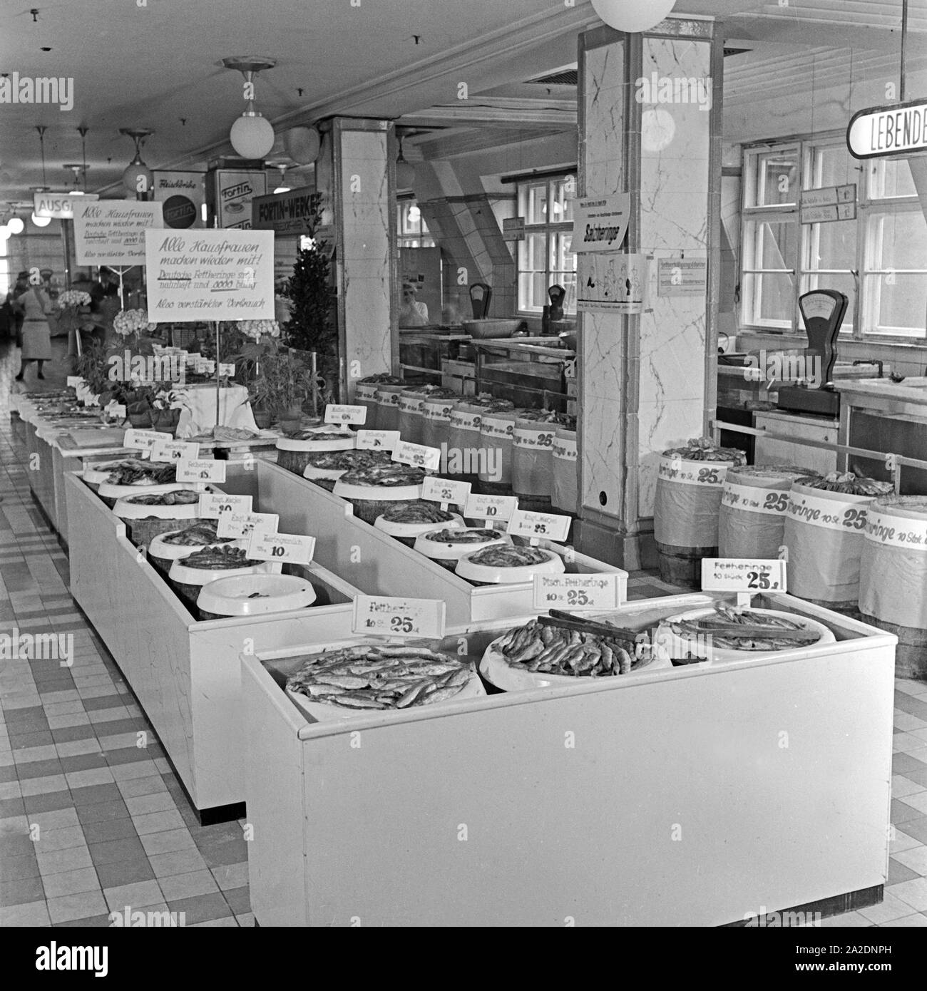 Die Fischabteilung in einem großen Lebensmittelgeschäft bietet Salzheringe an, Deutschland 1930er Jahre. The fish department at a grocery offering saltes herrings, Germany 1930s. Stock Photo