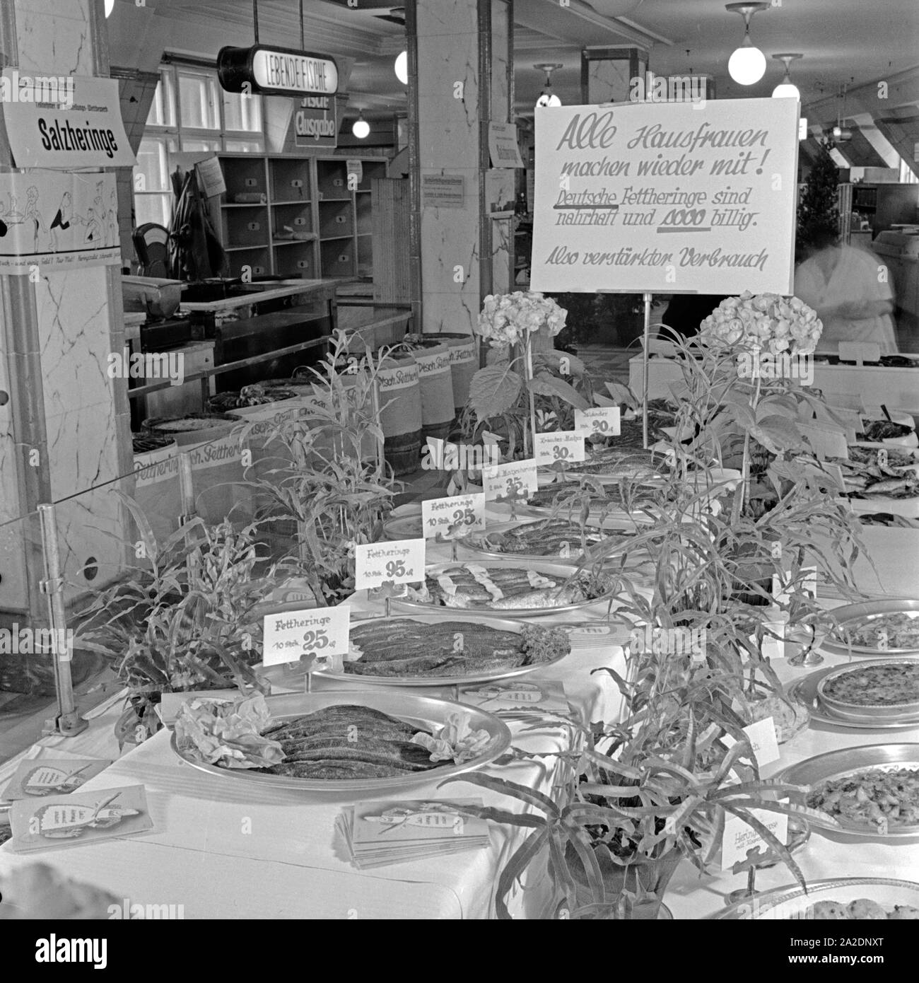 Die Fischabteilung in einem großen Lebensmittelgeschäft bietet Salzheringe an, Deutschland 1930er Jahre. The fish department at a grocery offering saltes herrings, Germany 1930s. Stock Photo